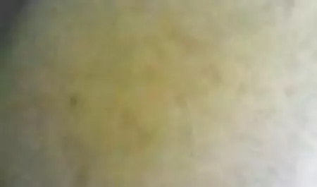 - Rusko pareo કાળી લેસ્બિયન દંપતી